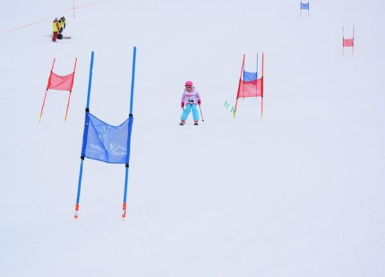 Normal x DSC 0845 (2)